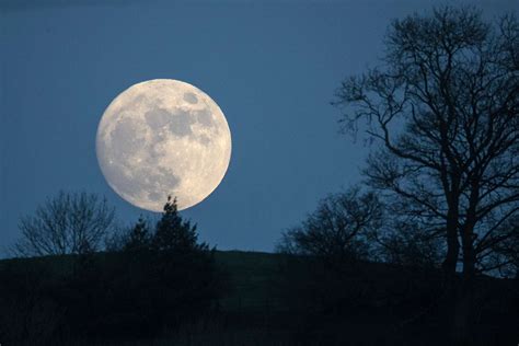 January New Moon 2024: Everything to Know