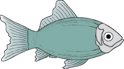 fish clipart transparent 20 free Cliparts | Download images on ...