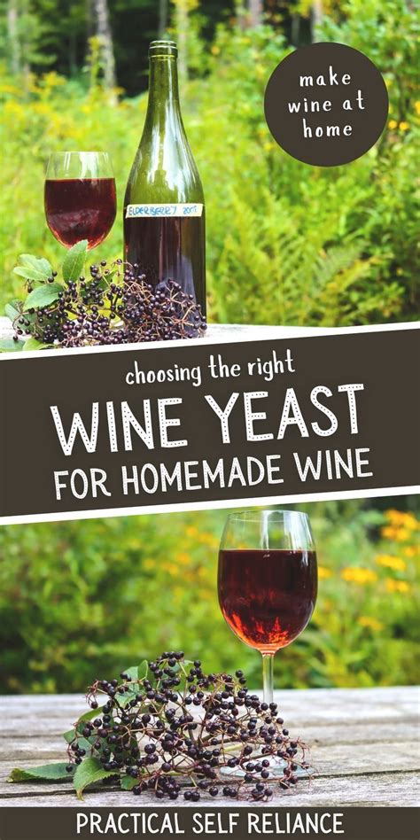 Wine yeast choosing the right yeast for homemade wine mead – Artofit