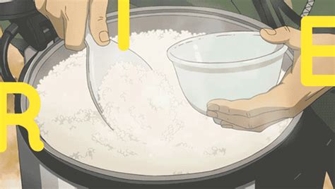 Step-by-Step: Cook Rice with and without a Rice Cooker - How To Adult