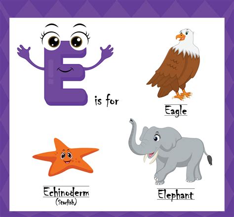 Letter e vector, alphabet e for eagle, echinoderms starfish, elephant ...