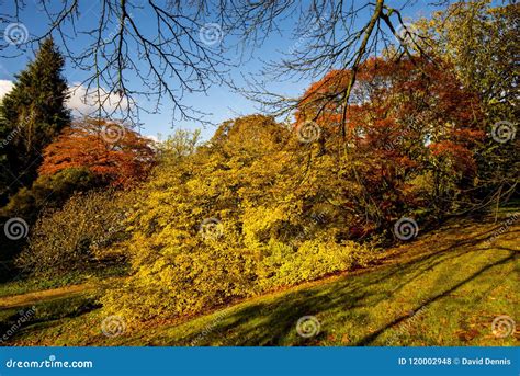 A Beautiful Display of Autumn Colours at Wakehurst Place, West Sussex ...