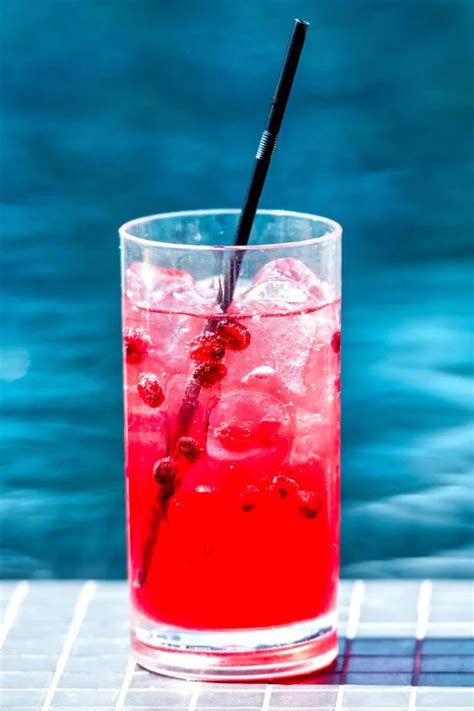 The Best Cranberry Vodka Cocktails Recipes – Home, Family, Style and ...