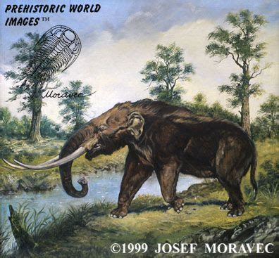 Keyword: mastadon | Animales prehistóricos, Prehistórico, Animales extintos