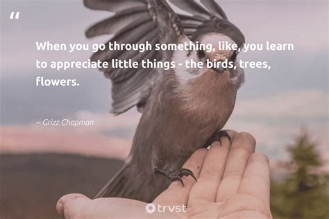 110 Bird Quotes and Sayings About Birds to Inspire & Motivate