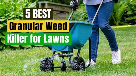 Best Granular Weed Killer for Lawns Guide & Reviews - YouTube