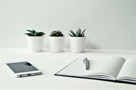 Three White Ceramic Pots With Green Leaf Plants Near Open Notebook With Click Pen on Top · Free ...