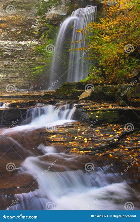 Gorge Waterfalls stock photo. Image of walls, trees, water - 1423374