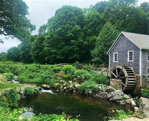 Local's Guide: Best Things to Do in Brewster MA [2024]