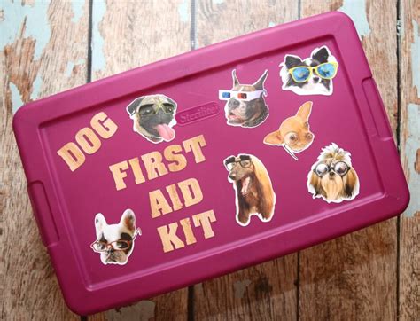 New Dog & DIY Dog First Aid Kit | The TipToe Fairy