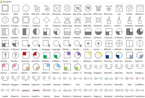Standard Genogram Symbols | Family genogram, Genogram template ...
