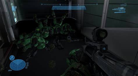 multiplayer is always fun : r/halo