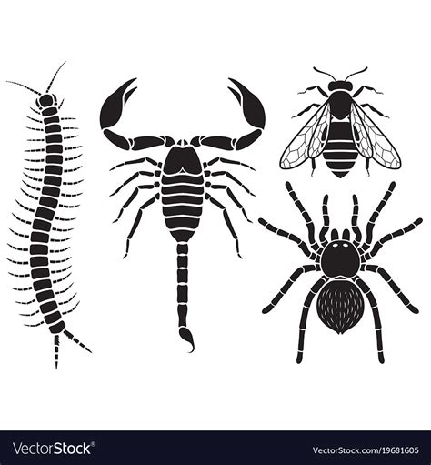 Poisonous insects set Royalty Free Vector Image