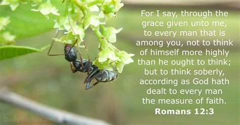 Romans 12:3 - Bible verse (KJV) - DailyVerses.net