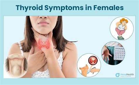 What are the Symptoms of Thyroid Problems in Females?