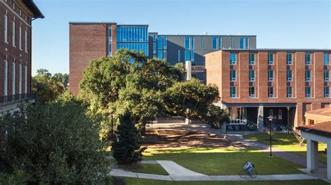 Tulane University, Barbara Greenbaum House - ARO Architecture Research Office