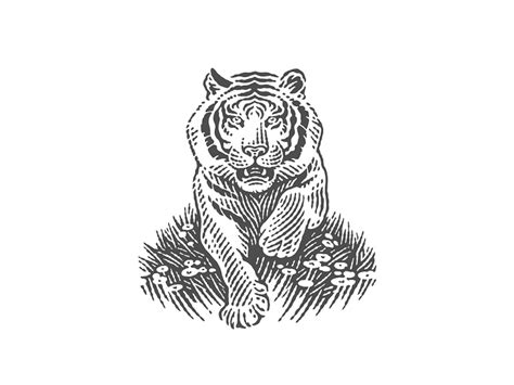 Tiger by Irina Trusova on Dribbble