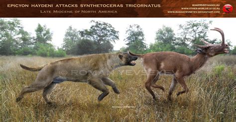 Epicyon haydeni attacks Synthetoceras tricornatus by RomanYevseyev on DeviantArt