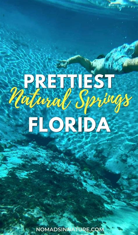 A Perfect Day at Silver Glen Springs Florida (+Swim with Manatees ...