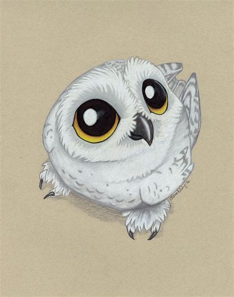 How To Draw Hedwig at How To Draw