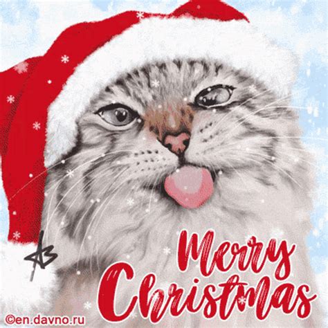 Christmas Kitty GIF - Christmas Kitty - Discover & Share GIFs