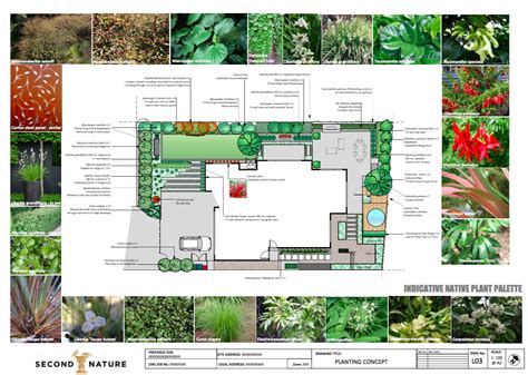 Planting plans - Landscape design, garden care services and gardening maintenance with Auckland ...