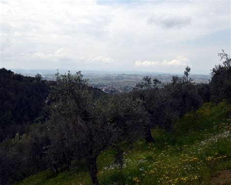 THE 10 BEST Tuscany Hiking Trails (2024) - Tripadvisor