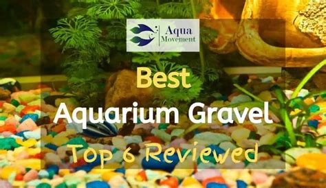 6 Best Aquarium Gravel Reviewed | Aqua Movement