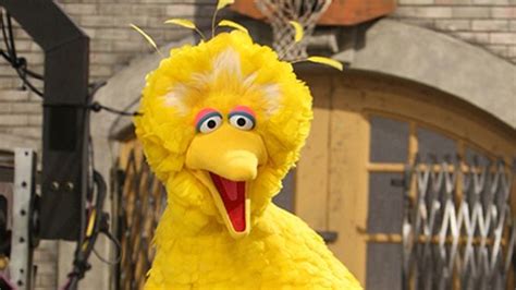 The 5 Most Loved Sesame Street Characters | LifeDaily