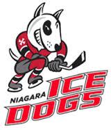 News > Niagara Ice Dogs (Garden City Minor Hockey)