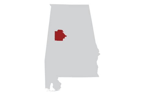 Tuscaloosa County – Impact Report