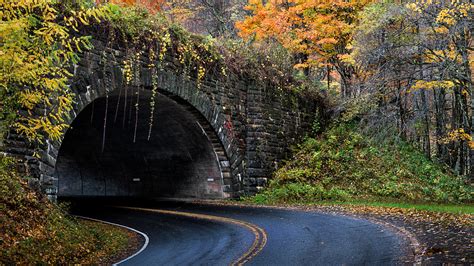 Ronny Light Photo | Gatlinburg - Fall 2015