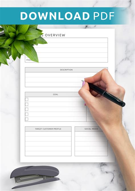 Download Printable Business Overview Template PDF