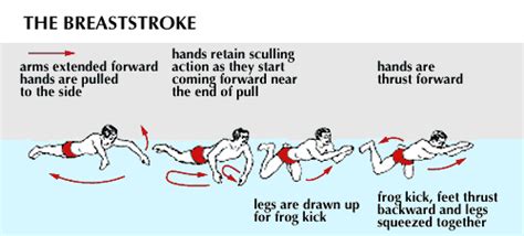 Swim Drill – Breaststroke – Swimming Ideas