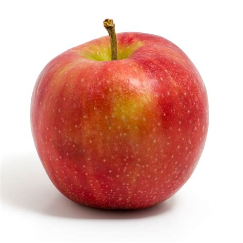 The truth about apples – Tales from the road home