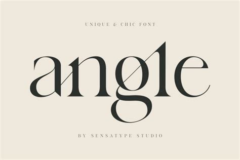 Angle unique & chic font - Free Download