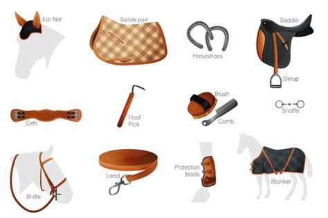 Vector equestrian horse equipment 13 items in 2 color