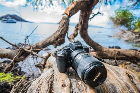 Nikon Z50 Review - Underwater Photography Guide