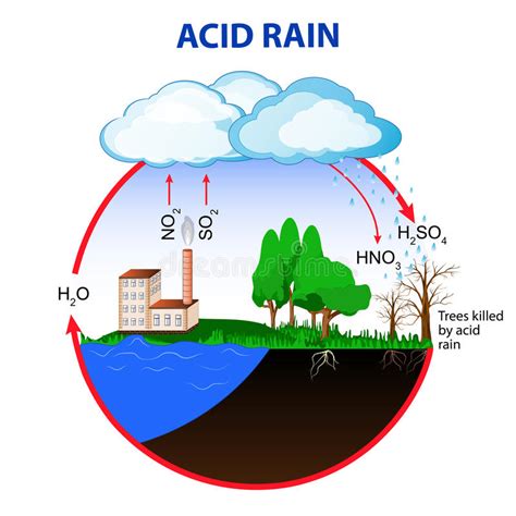 acid rain clipart 20 free Cliparts | Download images on Clipground 2024