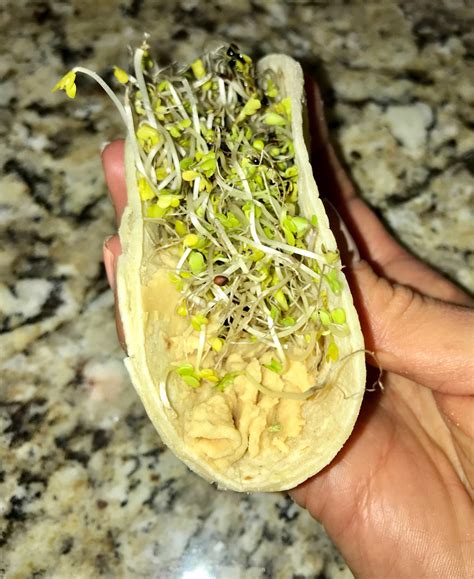 broccoli sprouts- hummus taco: Directions, calories, nutrition & more ...