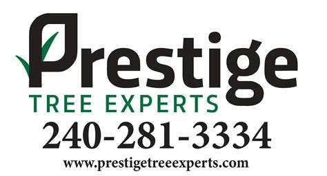 Prestige Tree Experts Arbor Day Campaign - Campaign