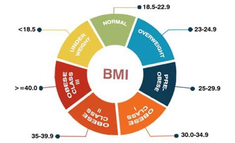 BMI Chart - Medical Chart Help
