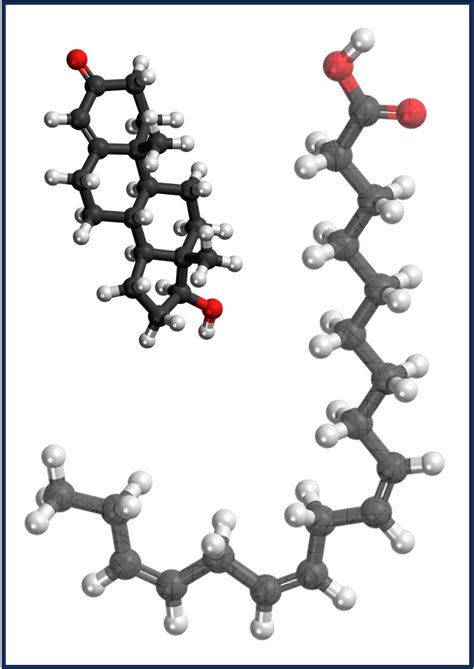 Organic Molecules