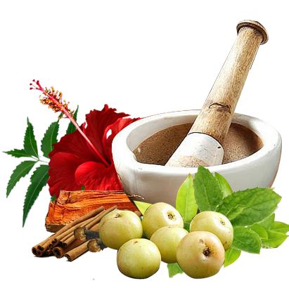 Ayurvedic Medicine Png - PNG Image Collection