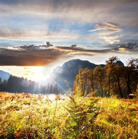 Autumn in Yosemite stock image. Image of america, travel - 54157069