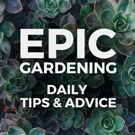 Epic Gardening: Daily Growing Tips and Advice by Kevin Espiritu | Urban ...