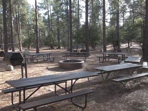 Upper Wolf Creek Group Campground – Join Arizona