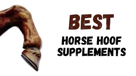 The 10 Best HOOF SUPPLEMENTS For Horses