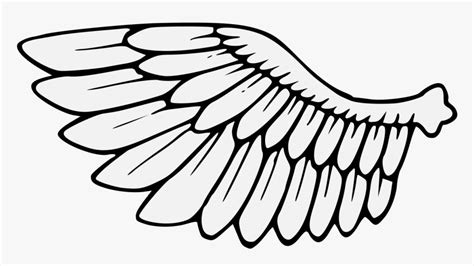 Bird Wings Clipart Clip Art Of Wing Wings Clipart Black And White | Images and Photos finder