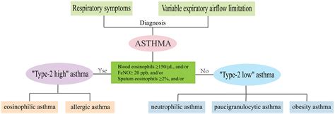 Frontiers | T-helper cells and their cytokines in pathogenesis and treatment of asthma